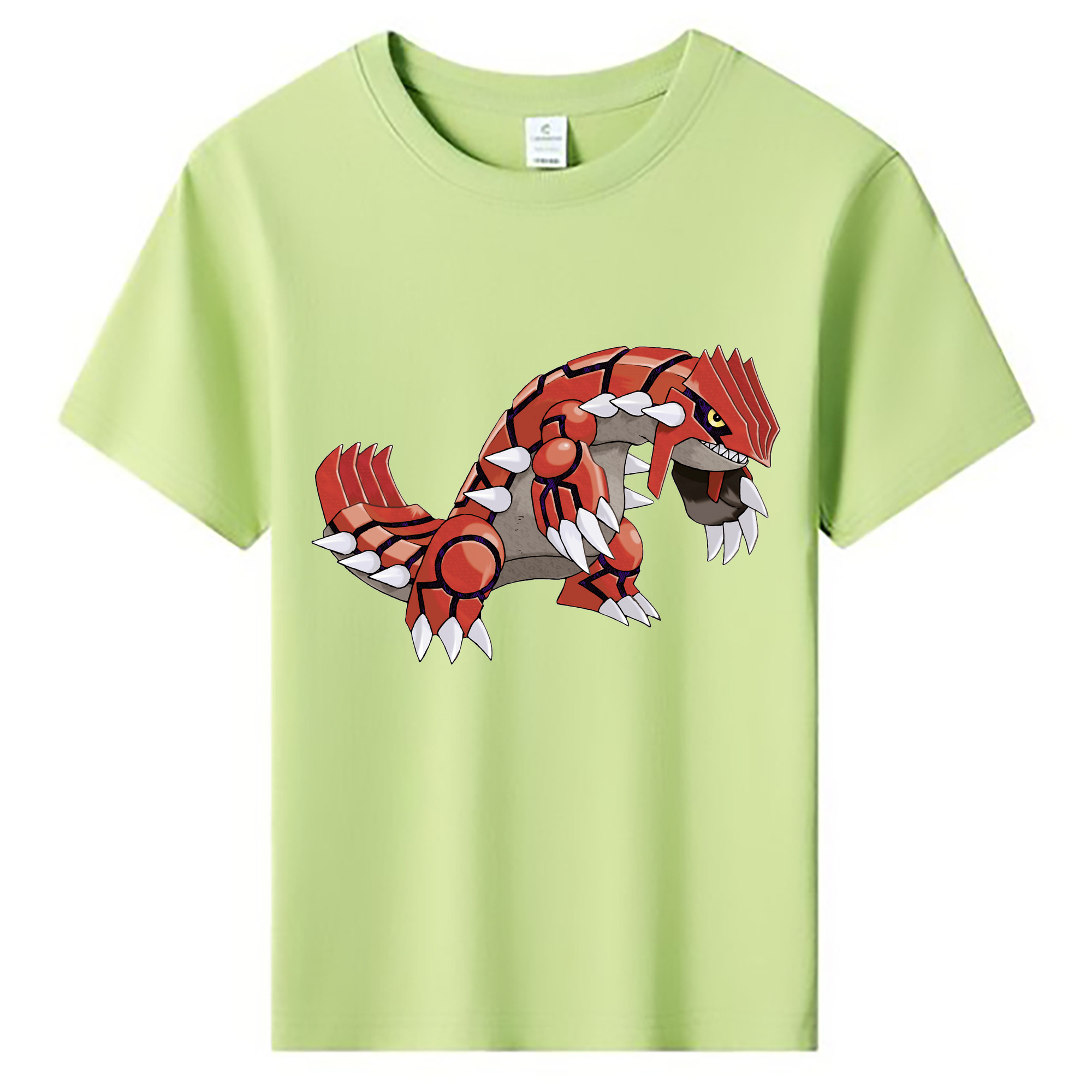 （画像用） ポケットモンスター Pokémon 綿100％キッズTシャツ（フロントプリント）